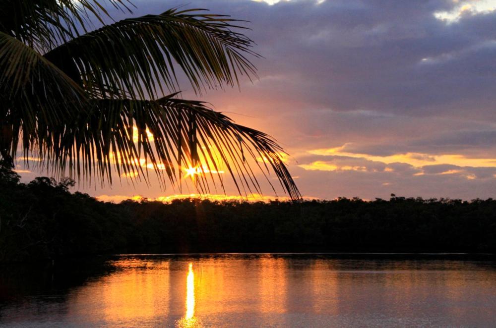 River Wilderness Waterfront Cabins 大沼泽地市 外观 照片
